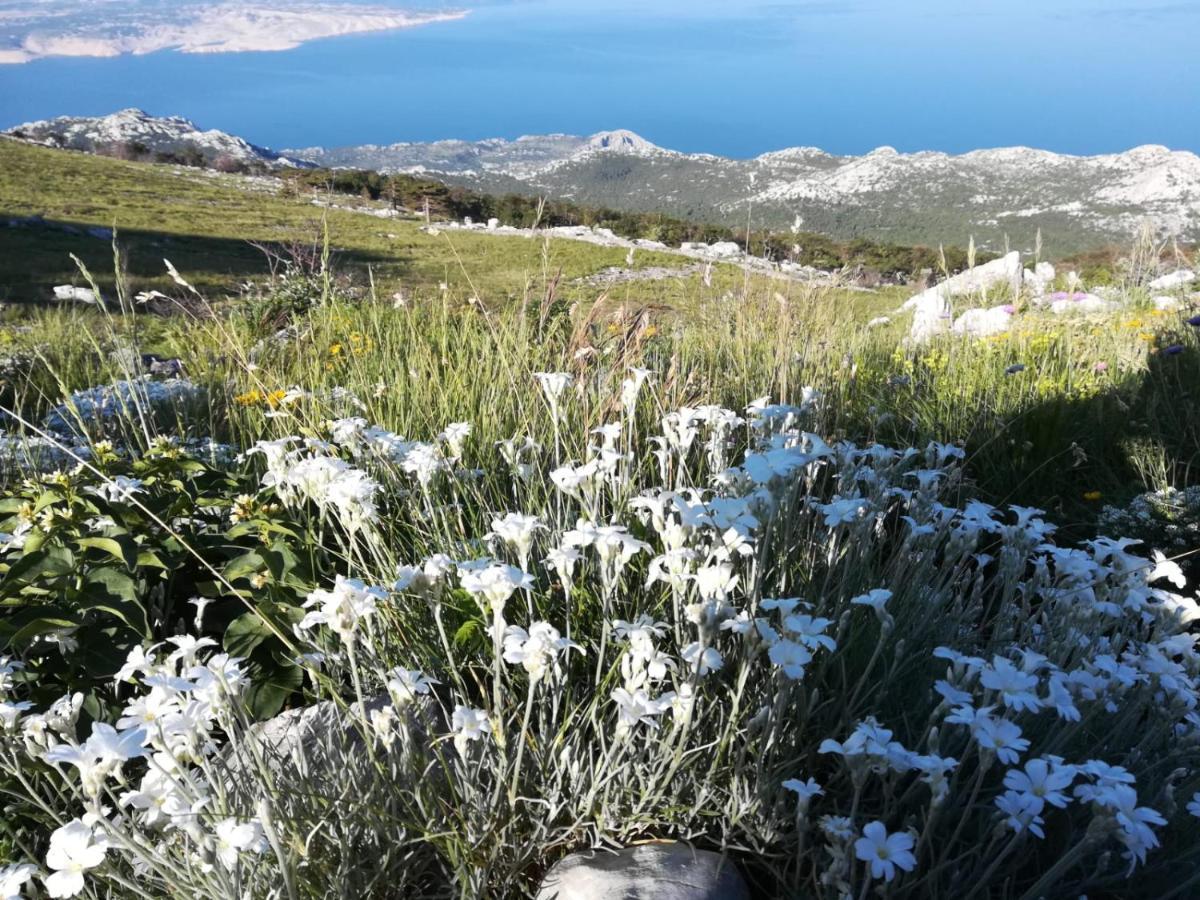 Appartamento Feral Sveti Juraj Esterno foto
